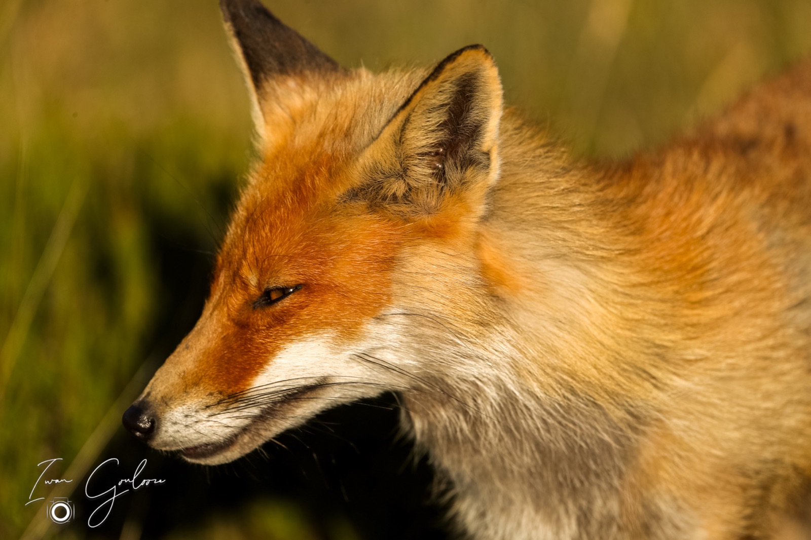 12 juni 2022 193421 1DX47409